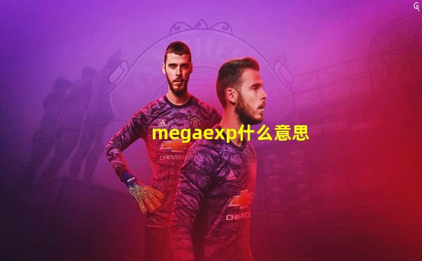 megaexp什么意思
