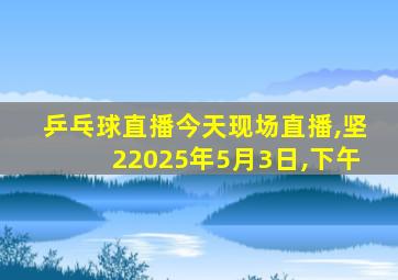 乒乓球直播今天现场直播,坚22025年5月3日,下午