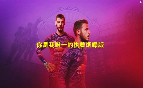 你是我唯一的执着烟嗓版