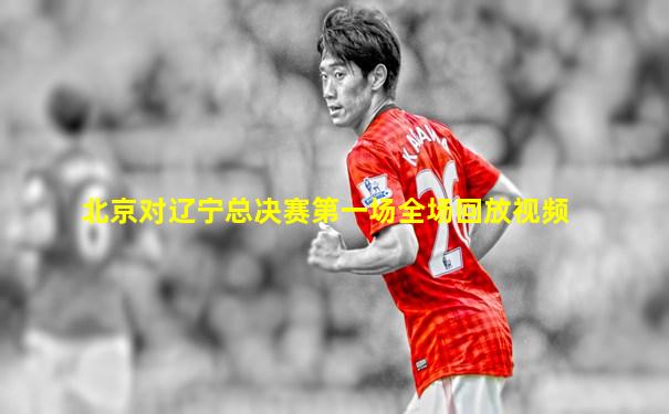 北京对辽宁总决赛第一场全场回放视频