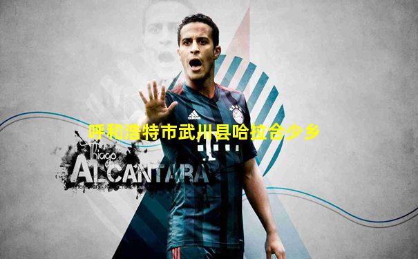 呼和浩特市武川县哈拉合少乡
