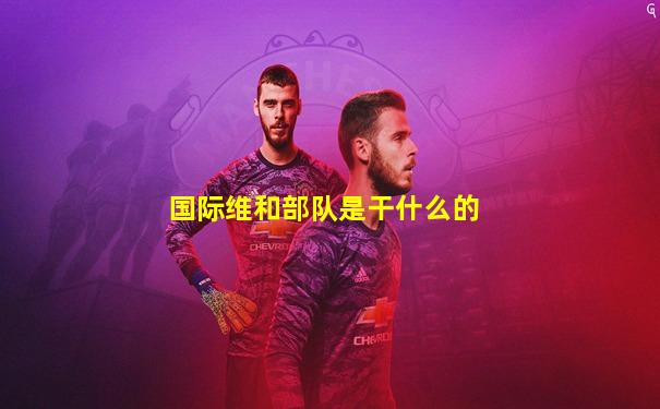 国际维和部队是干什么的