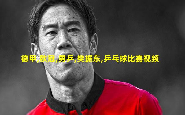 德甲,欧冠,男乒,樊振东,乒乓球比赛视频