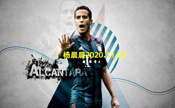 杨晨晨2020.11.23