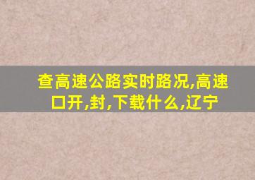 查高速公路实时路况,高速口开,封,下载什么,辽宁