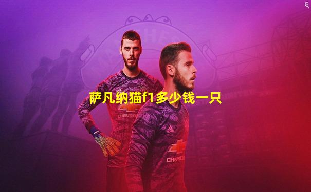 萨凡纳猫f1多少钱一只