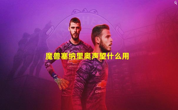 魔兽塞纳里奥声望什么用
