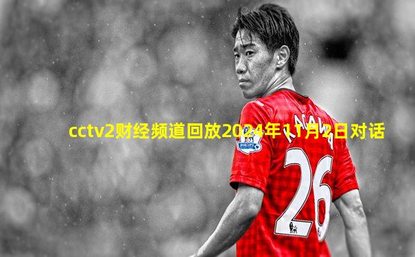 cctv2财经频道回放2024年11月2日对话