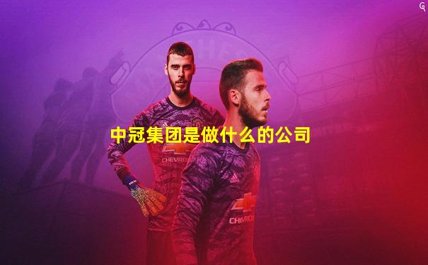 中冠集团是做什么的公司