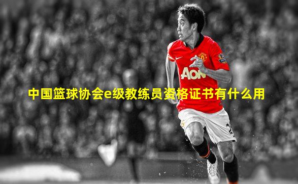 中国篮球协会e级教练员资格证书有什么用
