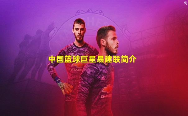 中国篮球巨星易建联简介