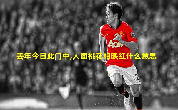 去年今日此门中,人面桃花相映红什么意思