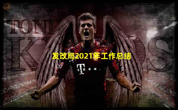 发改局2021年工作总结