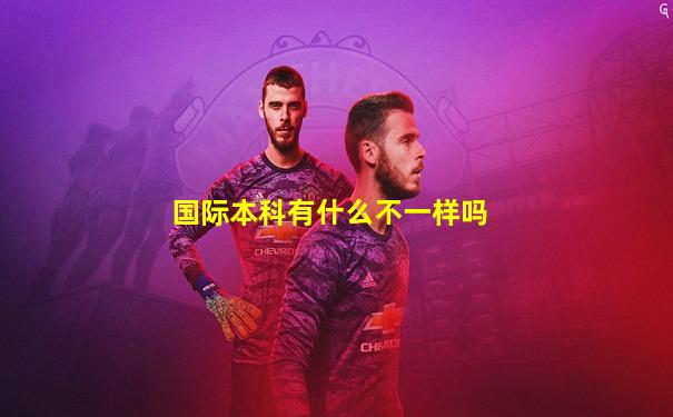 国际本科有什么不一样吗