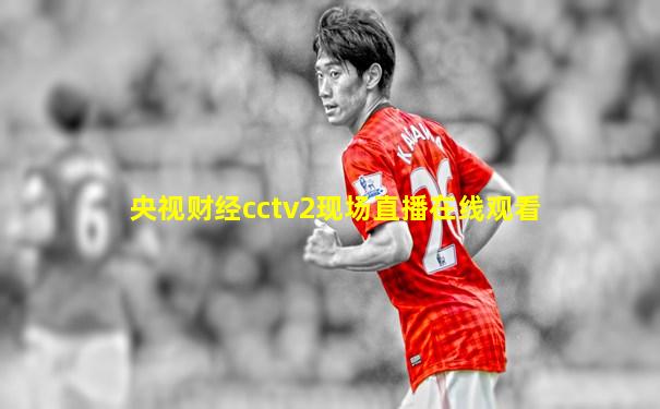 央视财经cctv2现场直播在线观看