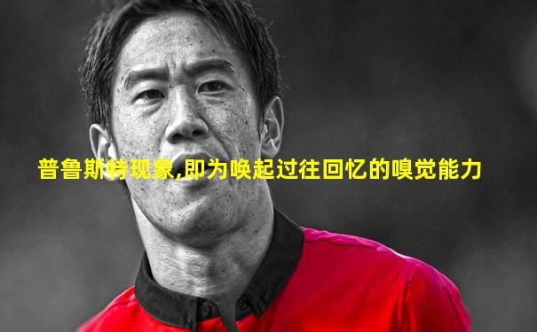 普鲁斯特现象,即为唤起过往回忆的嗅觉能力