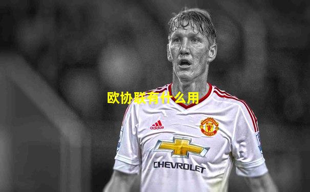 欧协联有什么用
