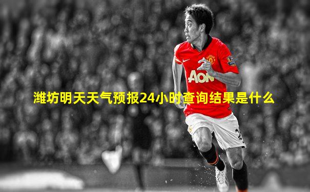 潍坊明天天气预报24小时查询结果是什么