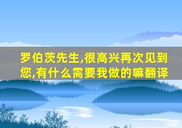 罗伯茨先生,很高兴再次见到您,有什么需要我做的嘛翻译