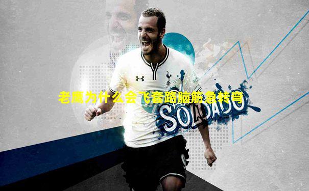 老鹰为什么会飞套路脑筋急转弯