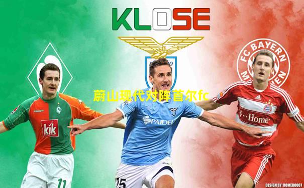 蔚山现代对阵首尔fc