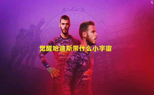 觉醒哈迪斯带什么小宇宙