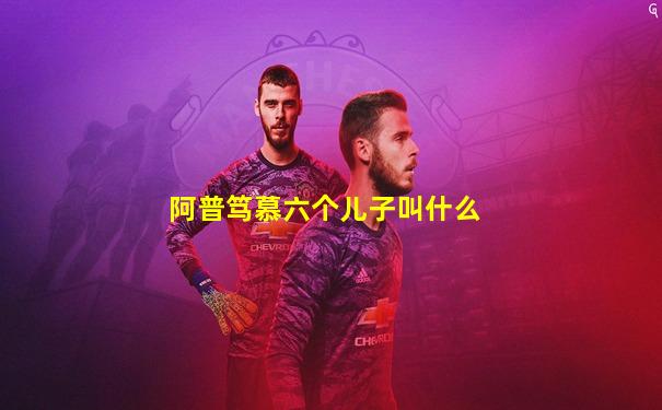 阿普笃慕六个儿子叫什么