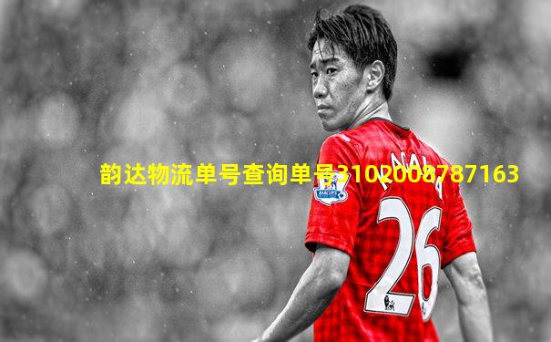 韵达物流单号查询单号3102008787163