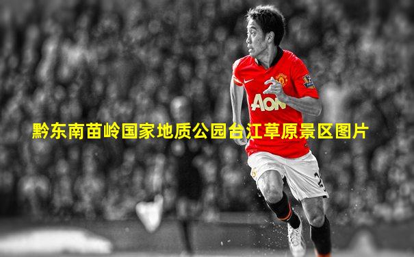黔东南苗岭国家地质公园台江草原景区图片
